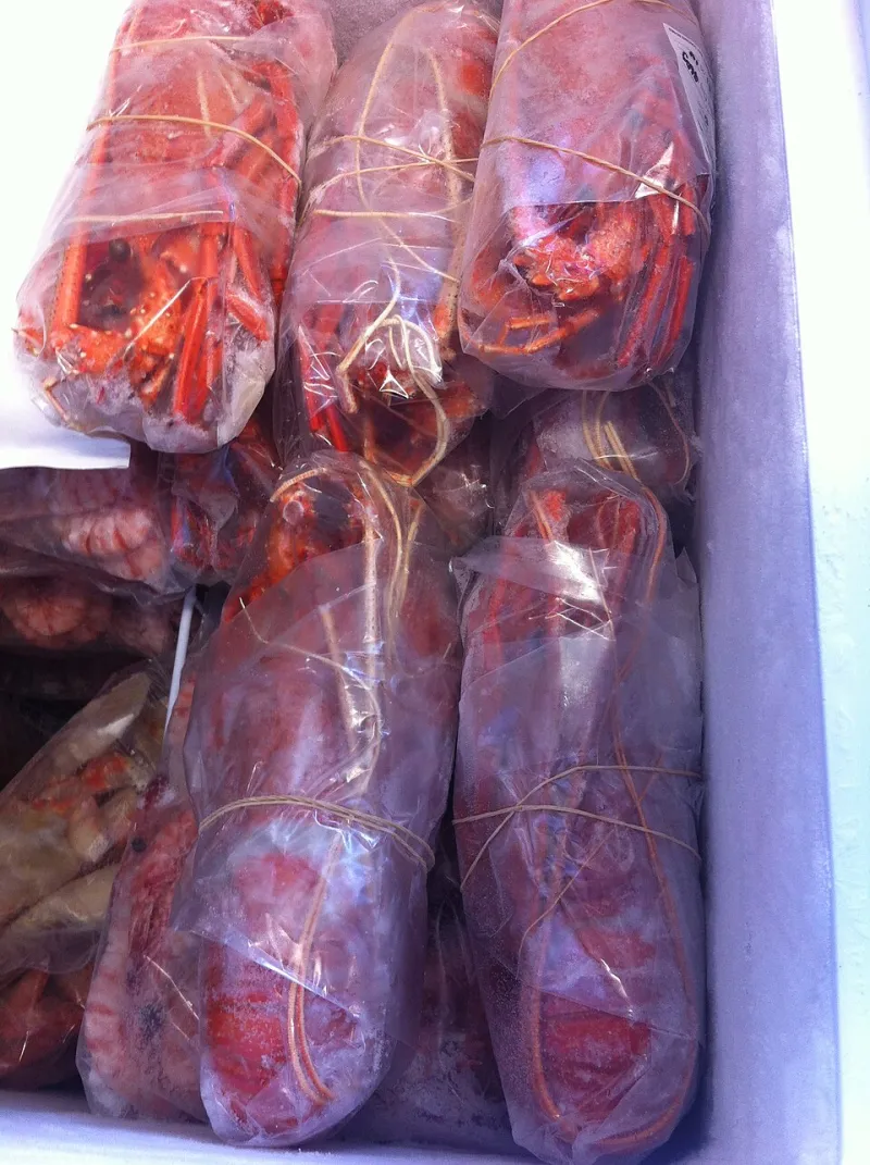Load the Deep Freeze: A Working System for Dinners That Wait in the Wings